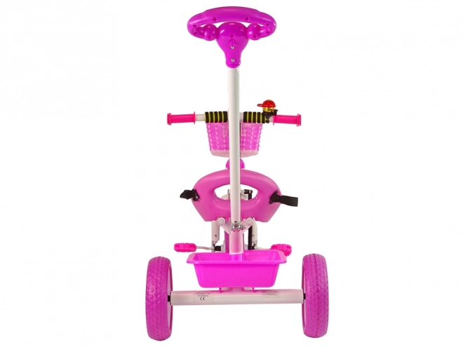 Triciclo PRO100 Rosa Ruote EVA