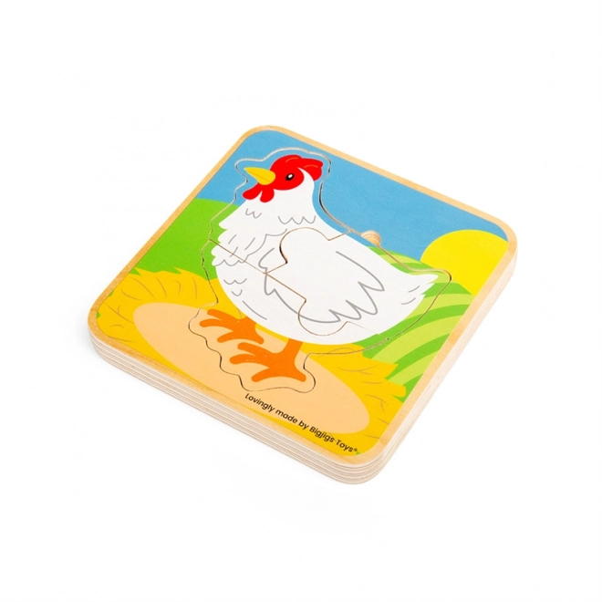 Puzzle Ciclo di Vita della Gallina Bigjigs Toys