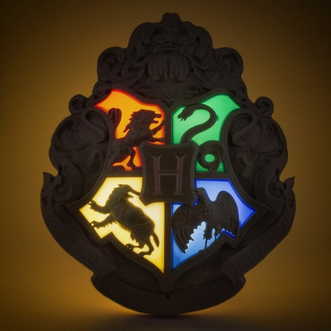 Luce Hogwarts con bacchetta