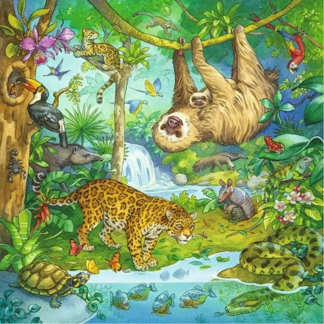 Puzzle Animali della Giungla 3x49 Pezzi