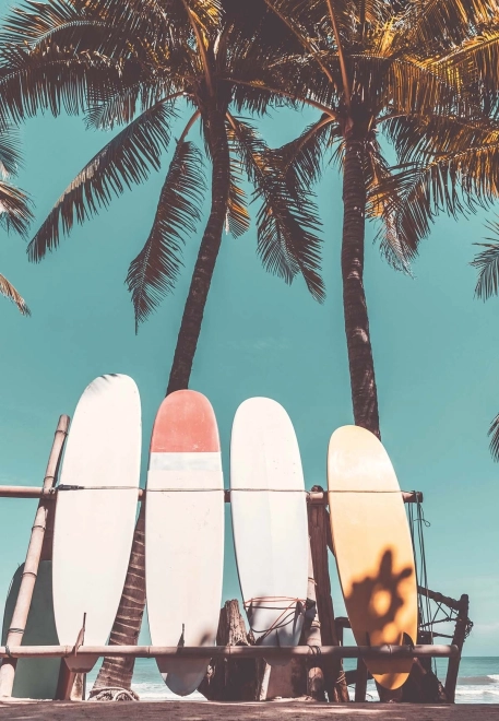 Puzzle Momenti 300 pezzi Surfing