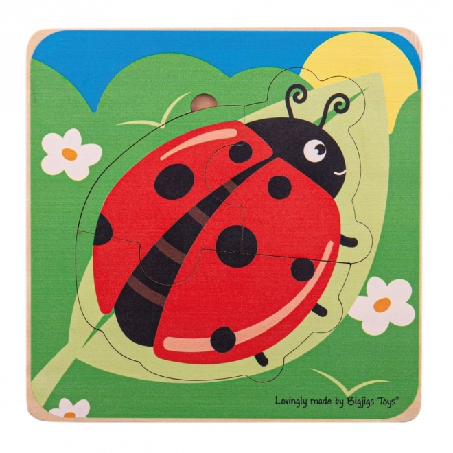 Puzzle a strati Ladybug Ciclo Vitale