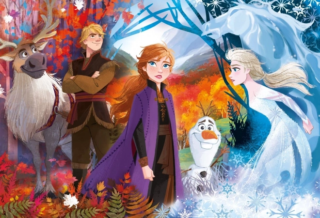 Puzzle Maxi 24 Pezzi Frozen 2