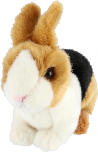 Leggero e ideale per le manine dei bambini