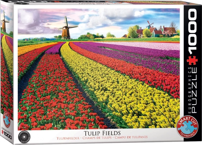 Puzzle Campo di Tulipani 1000 Pezzi