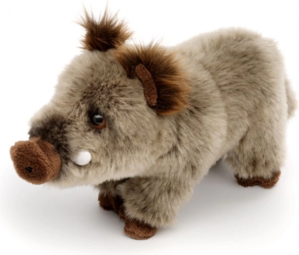 Dettagli realistici del cinghiale