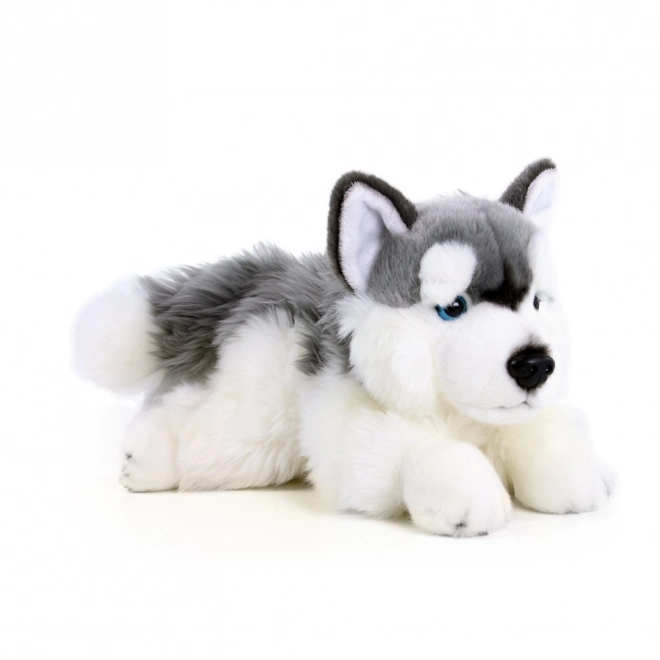 Cane Husky di Peluche Eco-Friendly