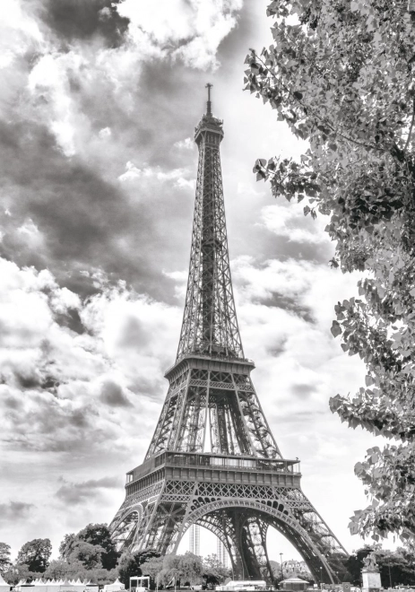 Puzzle Torre Eiffel in bianco e nero 500 pezzi