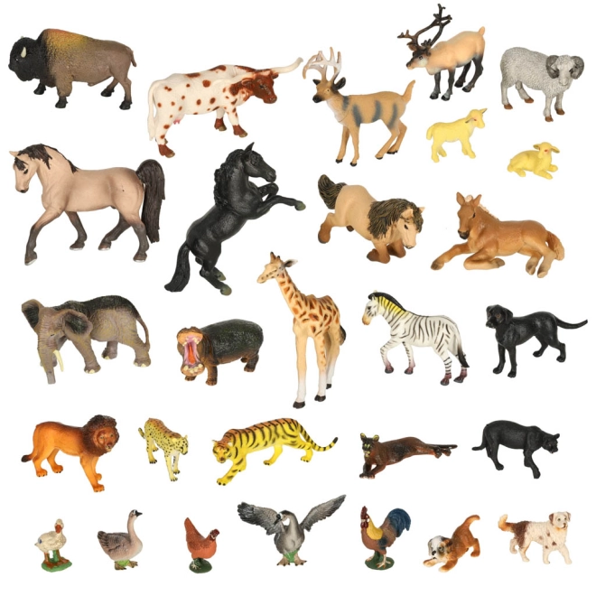 Dettagli realistici e ampia scelta di specie