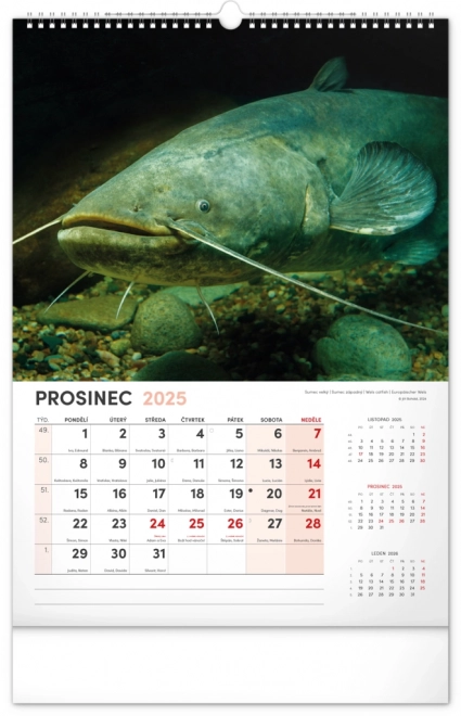 Calendario da Parete da Pesca 2025