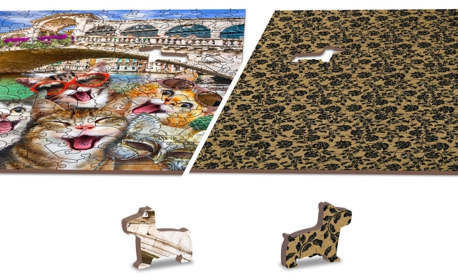 Puzzle Bifacciale 2v1