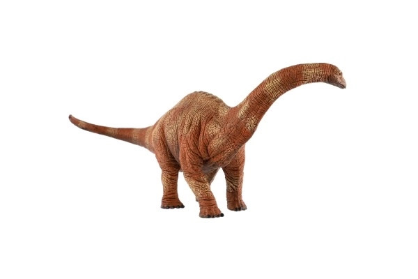 Dinosauro Apatosauro Giocattolo 30cm