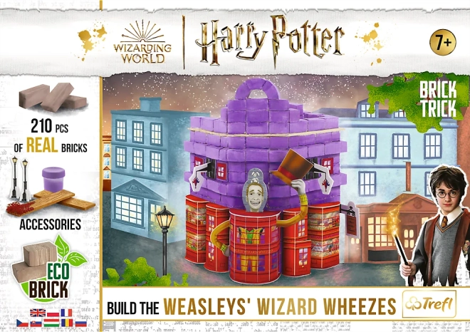 Edizione Harry Potter con 210 pezzi