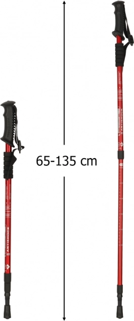 Bastoncini da trekking pieghevoli per Nordic Walking 2 pezzi rossi