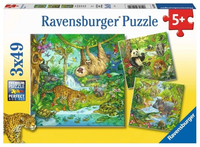 Puzzle Animali della Giungla 3x49 Pezzi