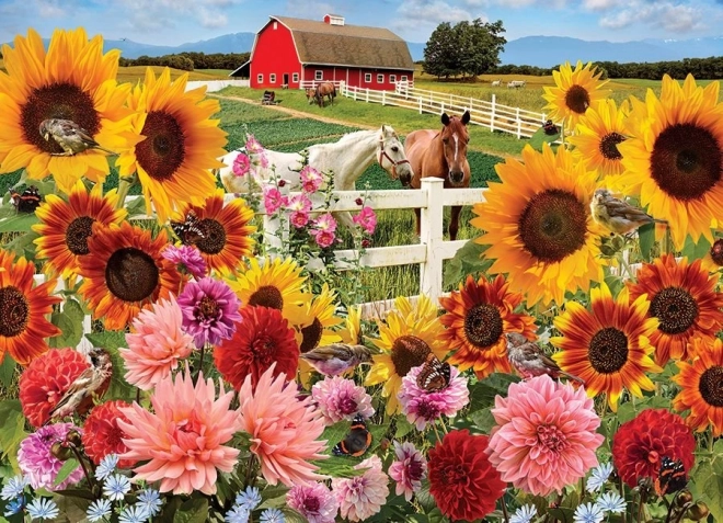 Puzzle Fattoria di Girasoli 1000 Pezzi