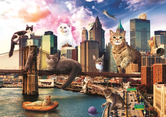 Puzzle Città Divertenti: Gatti a New York 1000 Pezzi