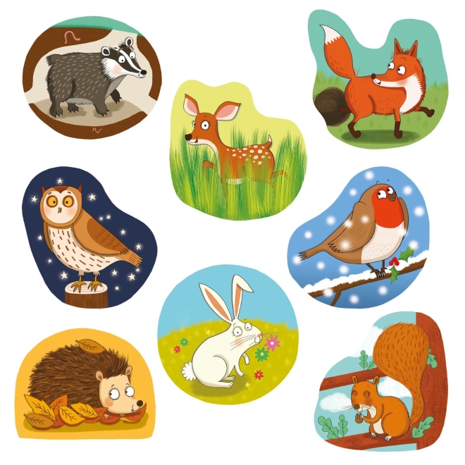 Illustrazioni colorate di animali del bosco