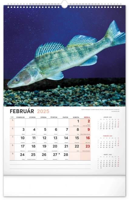 Calendario da parete Pescatore 2025