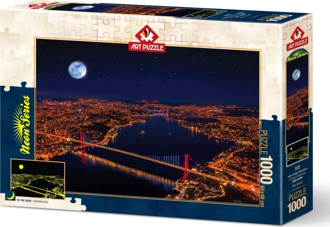 Servizio pezzo mancante da ART PUZZLE
