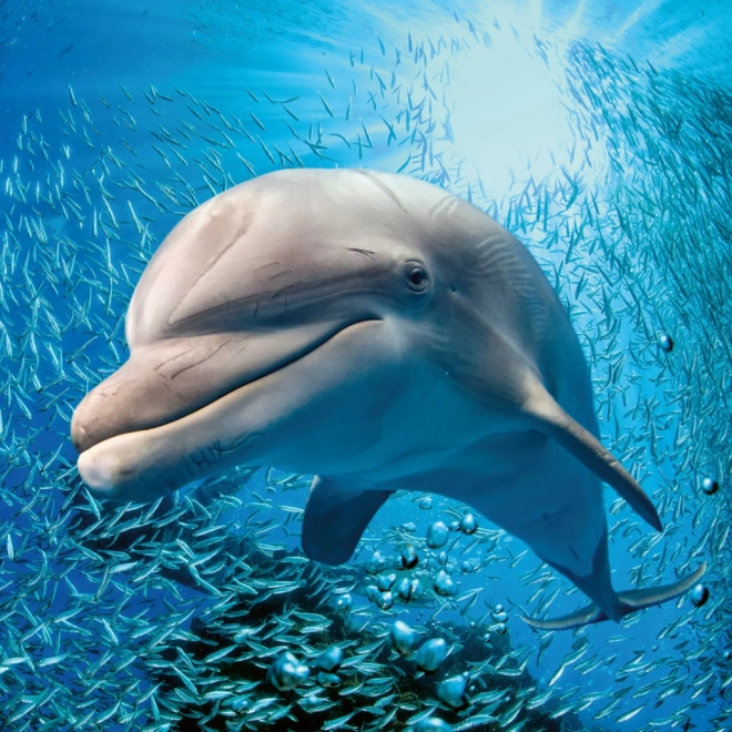 Calendario Appunti Animali Selvaggi 2026