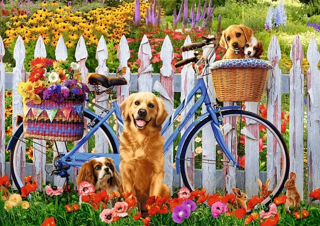 Puzzle 500 Pezzi Avventura del Cane