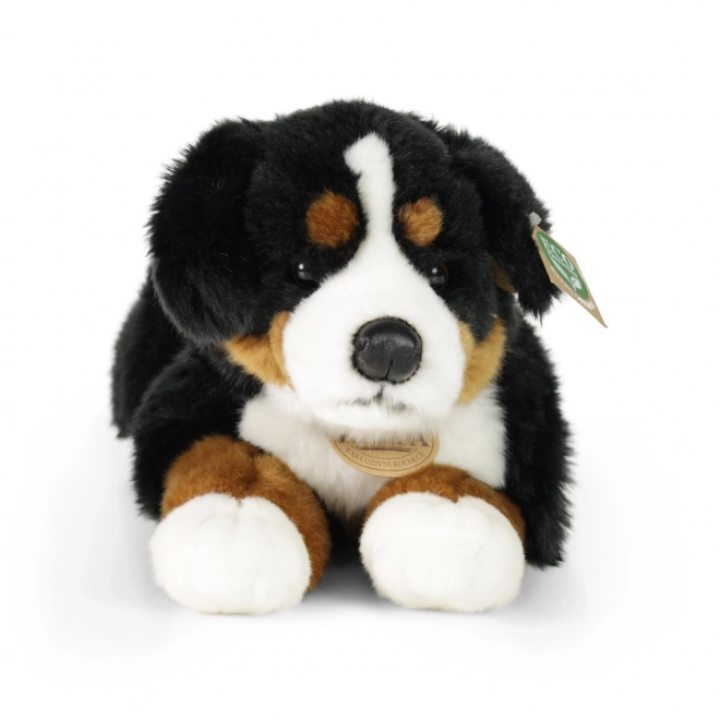 Cane da montagna bernese ecologico in peluche 44 cm