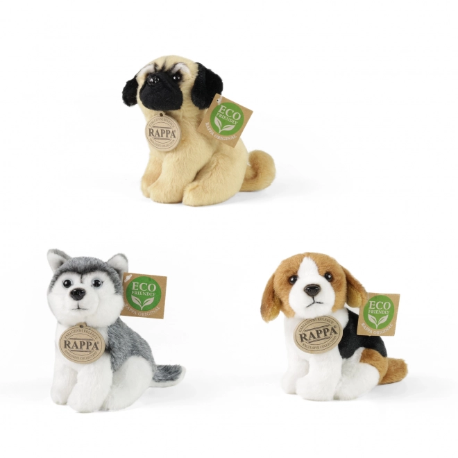 Esposizione peluche esclusivi cani e gatti eco-friendly