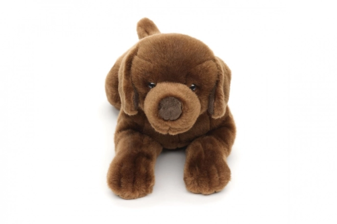 Peluche Labrador 40 cm Eco-Friendly