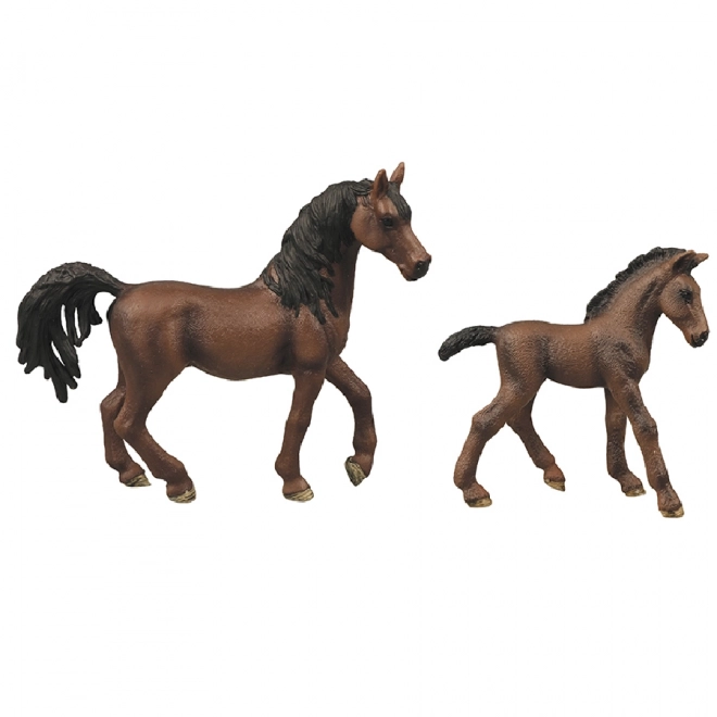 Set Cavallo da 2 Pezzi con Recinto Marrone Cioccolato