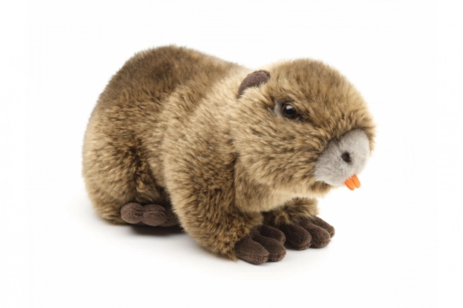 Nutria in peluche eco-friendly 22 cm