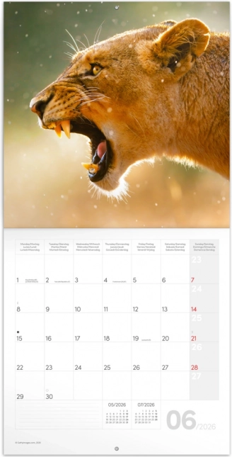 Calendario Appunti Animali Selvaggi 2026