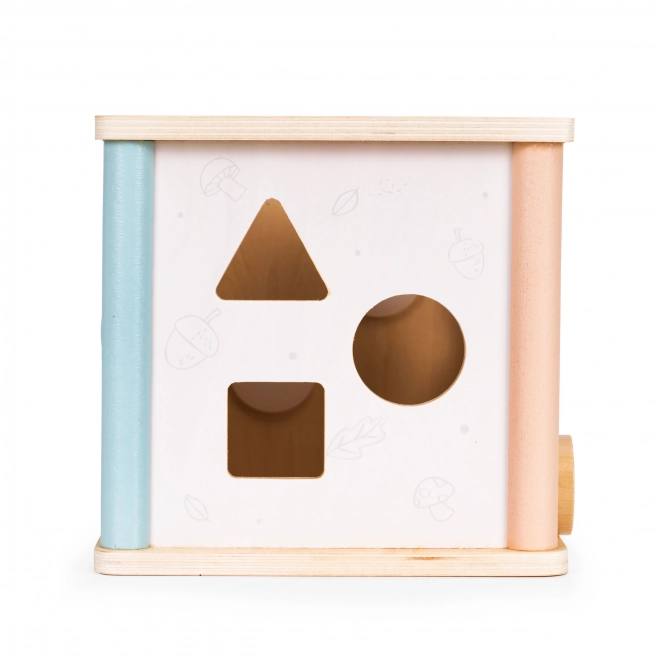 Cubo educativo in legno Ecotoys