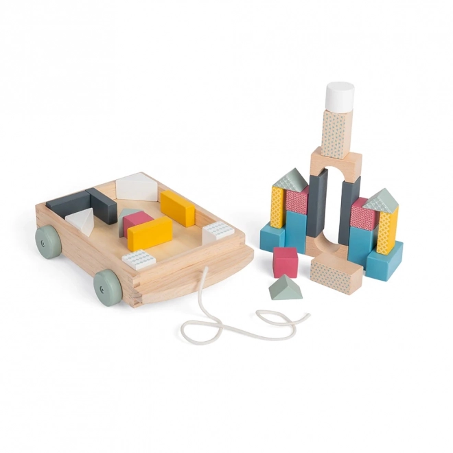 Vagone con blocchi di legno Bigjigs Toys