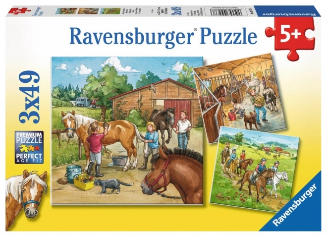 Puzzle Cavalli RAVENSBURGER 3x49 pezzi