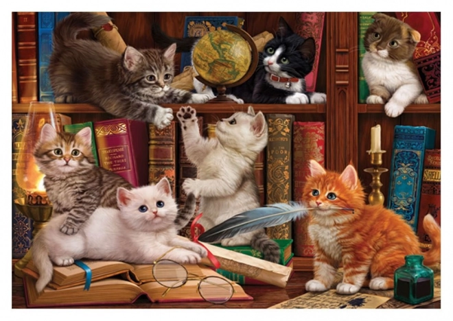 Puzzle Gattini in Biblioteca 500 pezzi