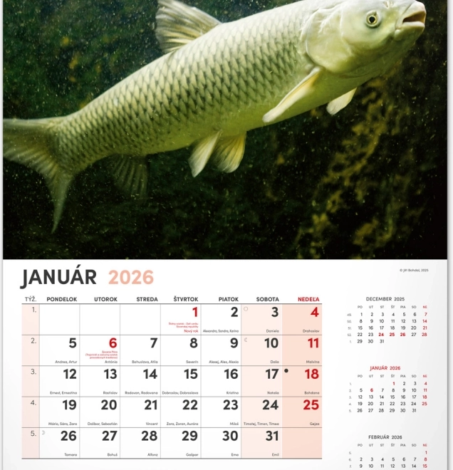 Calendario da parete di pesca 2026