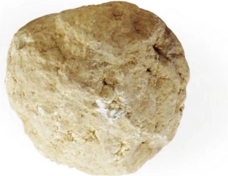 Scopri la Geode