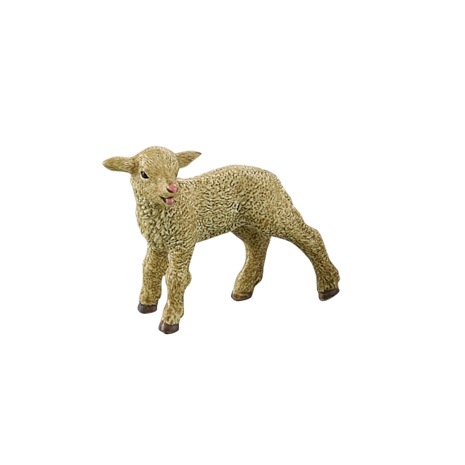 Agnello realistico