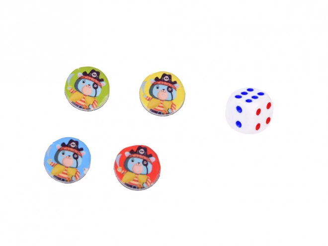 Gioco di caccia al tesoro magnetico PIRATI