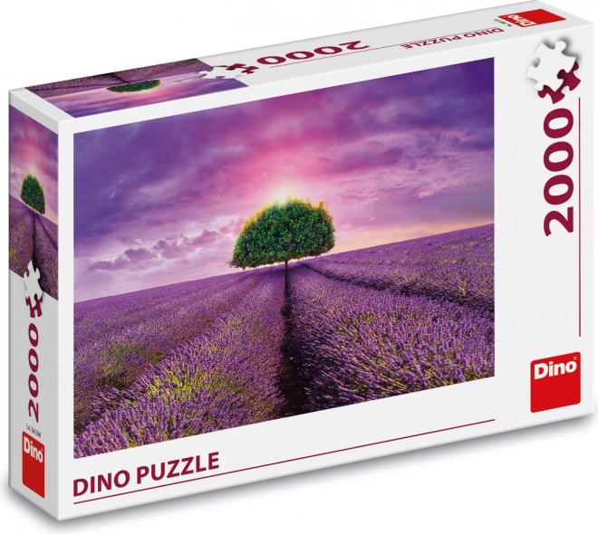 Puzzle Lavanda nei campi 2000 pezzi