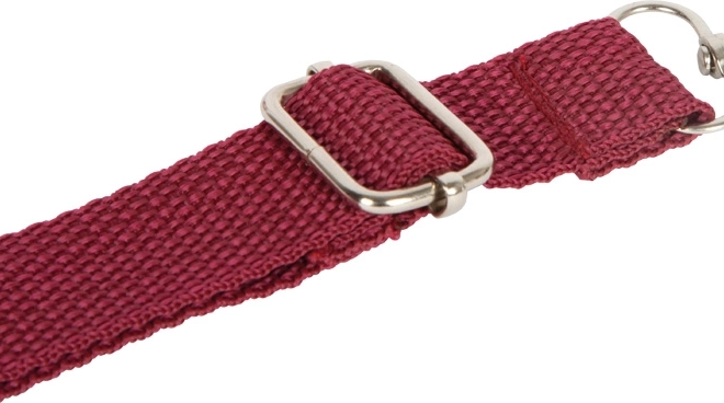 Set cura del cavallo con borsa rossa