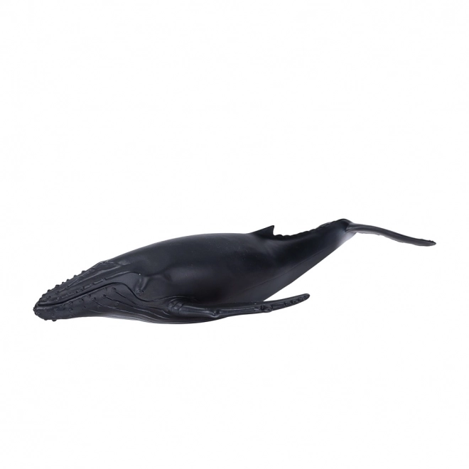 Figurina Realistica Balena Megattera