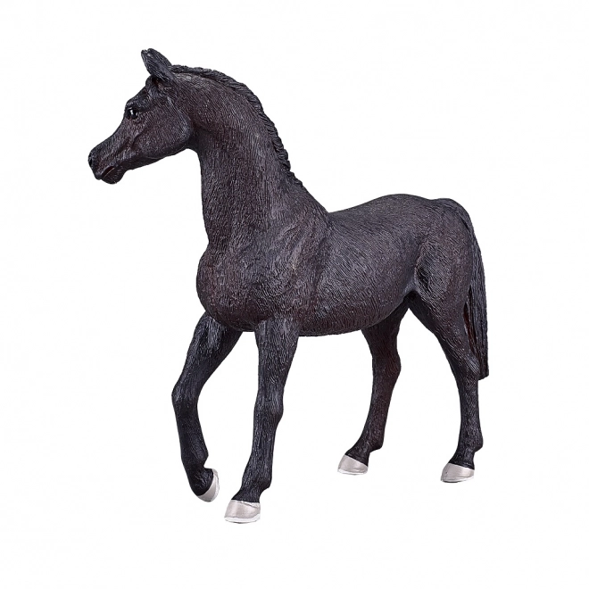 Cavallo arabo Mojo nero