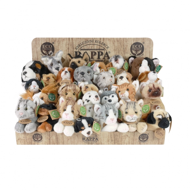 Esposizione peluche esclusivi cani e gatti eco-friendly