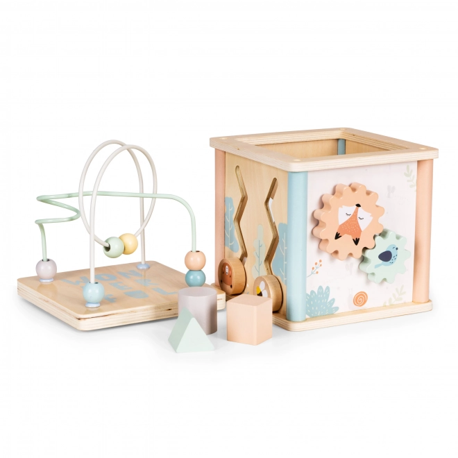 Cubo educativo in legno Ecotoys