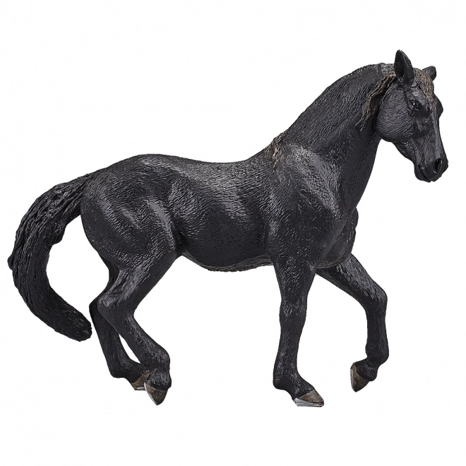 Cavallo Andaluso Nero Mojo