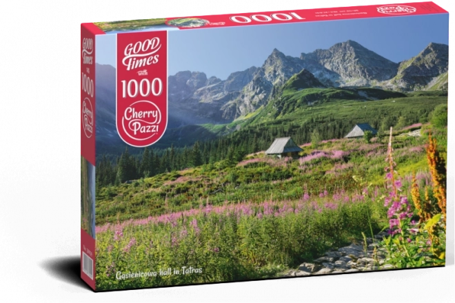 Puzzle Valle dei Bruco, Alti Tatra 1000 pezzi