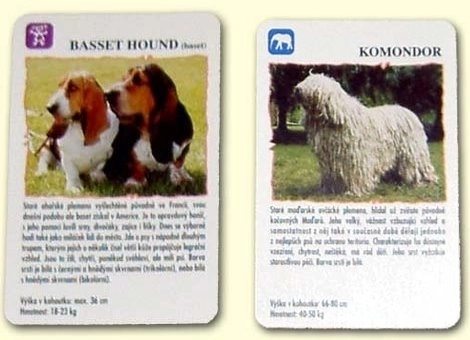 Gioco di Quattro Cani per Bambini