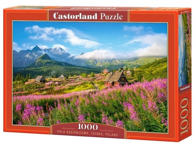 Puzzle 1000 pezzi Hala Gąsienicowa Tatras